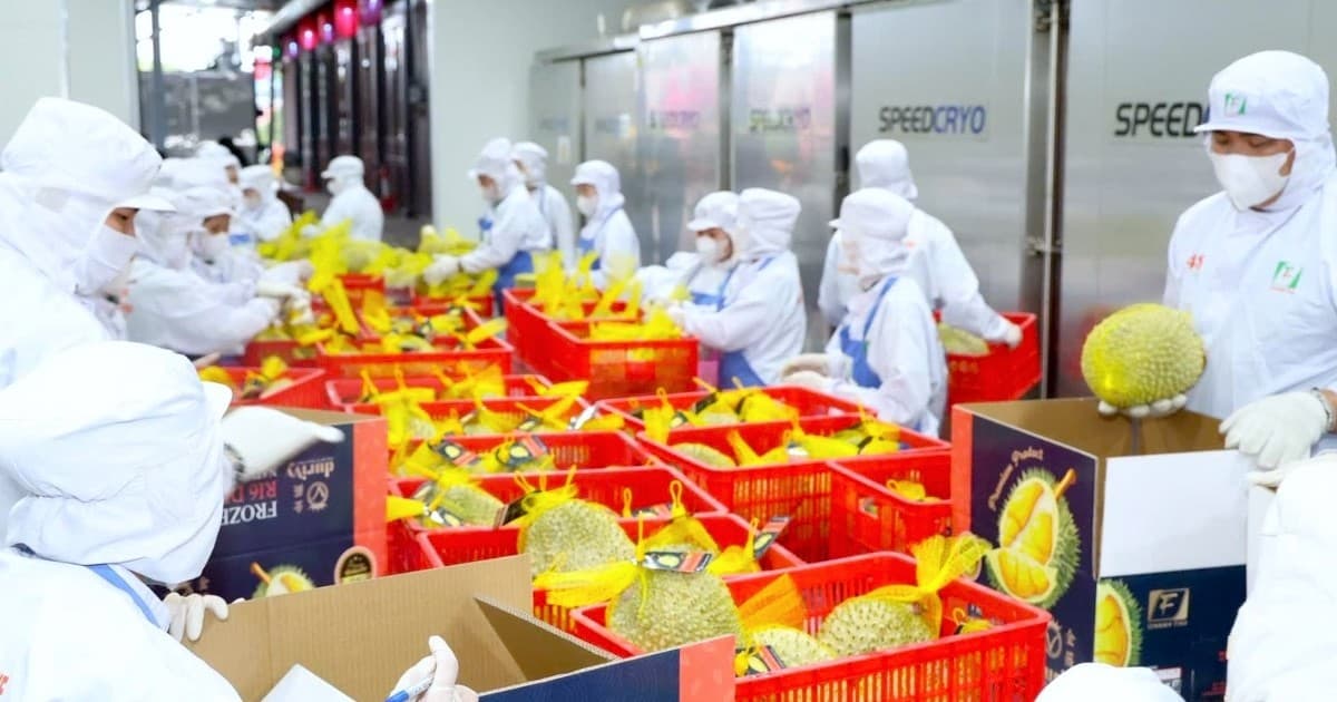 Vietnam’s fruit and vegetable exports up 21.8% to nearly $5.9 bln