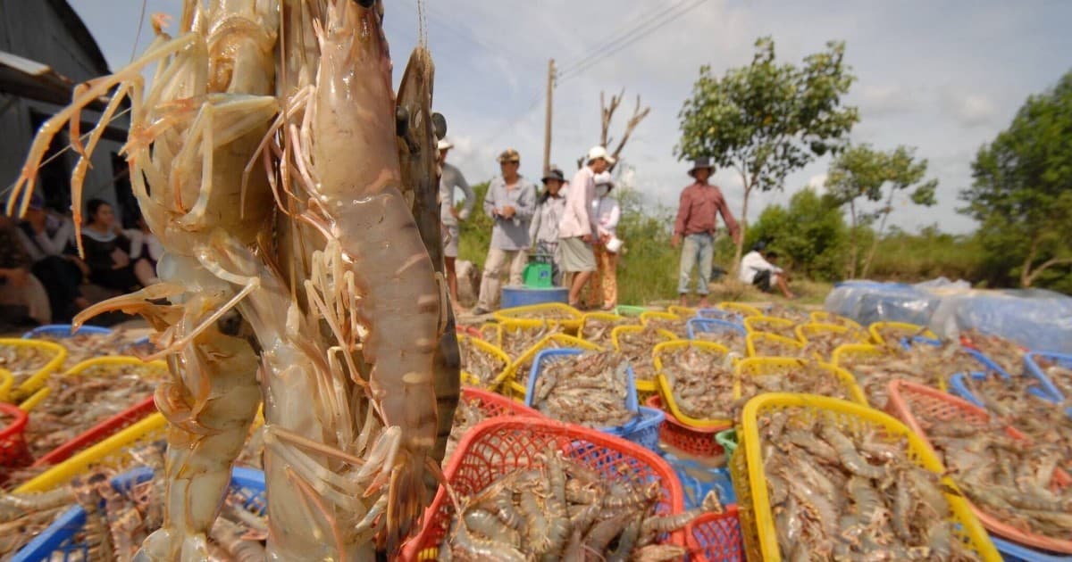 Seafood exports maintain growth trajectory despite persistent headwinds