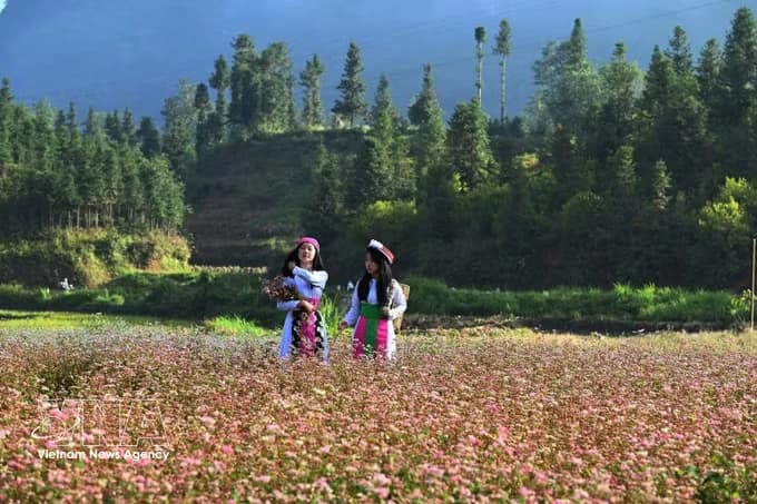 Culture industries open new growth opportunities for Tuyen Quang