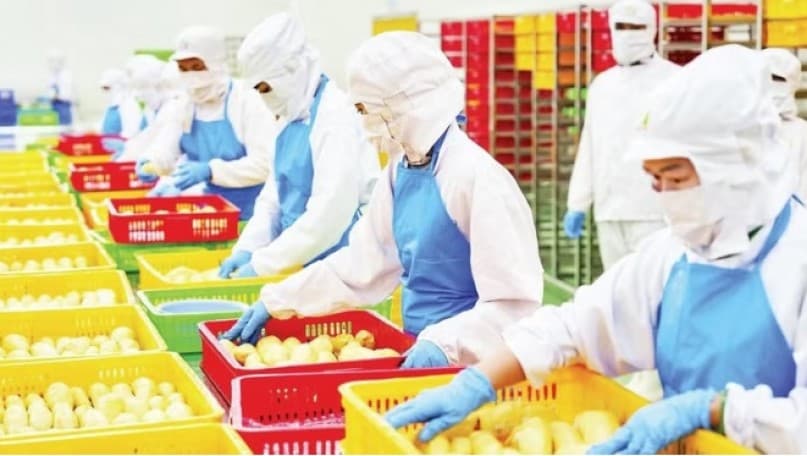 Businesses leading agricultural value chain