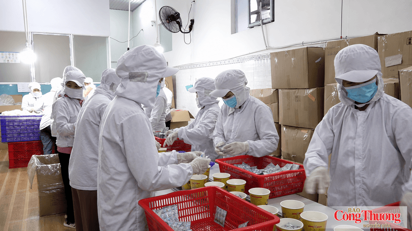 Industrial promotion provides new momentum for rural industry