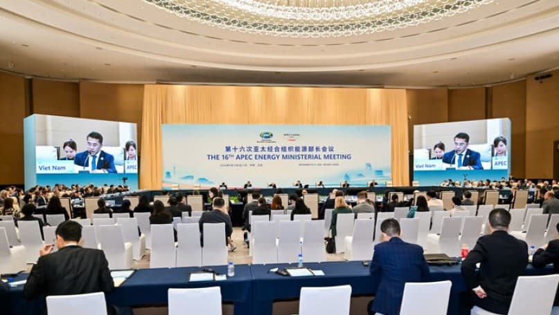 Viet Nam proposes stronger synergy to ensure APEC energy security