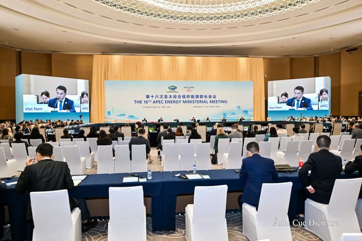 Viet Nam proposes stronger synergy to ensure APEC energy security