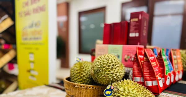 VIETNAMESE DURIAN INDUSTRY PIVOTS FROM VOLUME TO VALUE