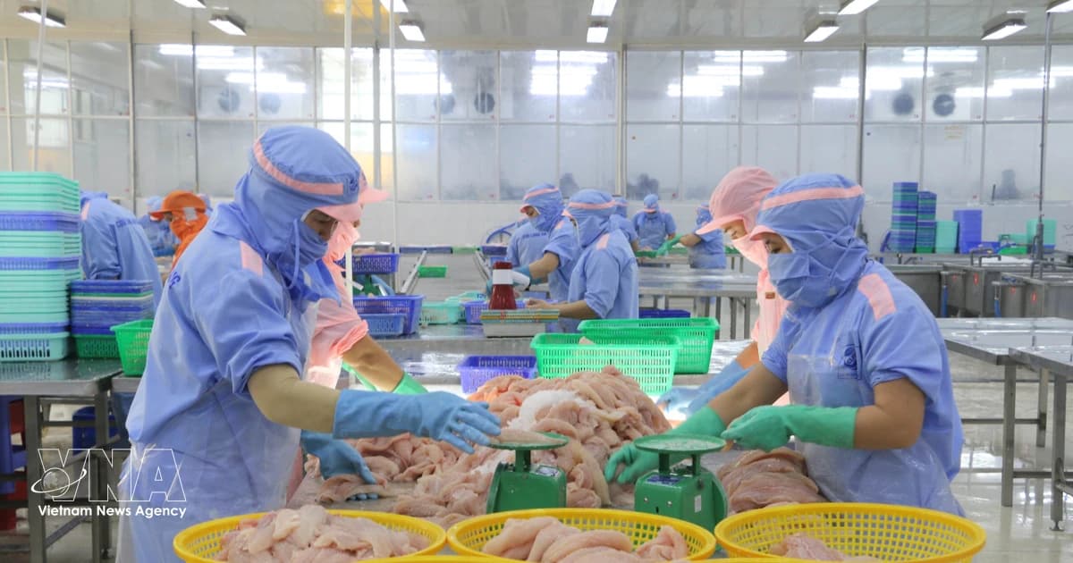 Vietnamese goods gain wider access to EU market