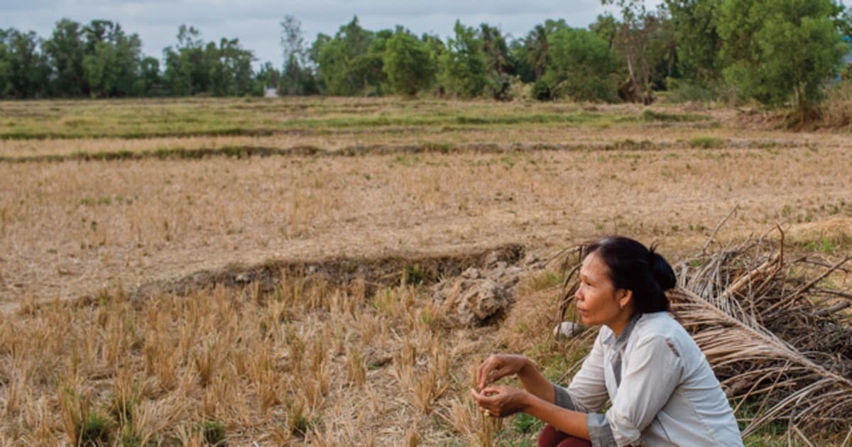 Cutting the cost of adoption of climate-resilient technologies