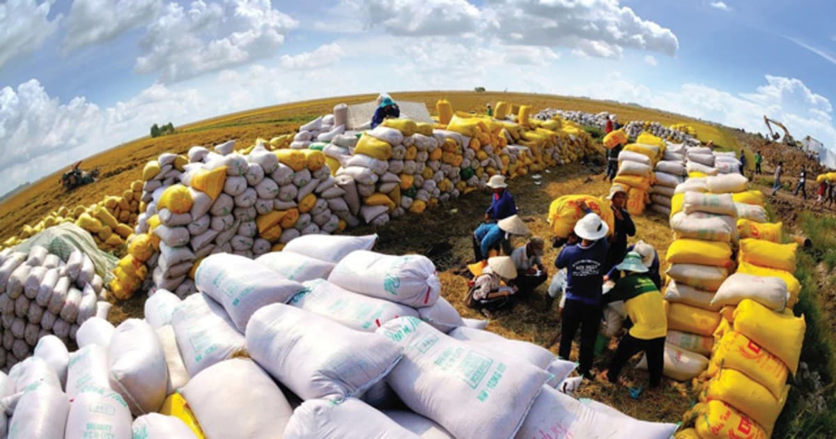 Agricultural exports' role in balancing the country's trade account