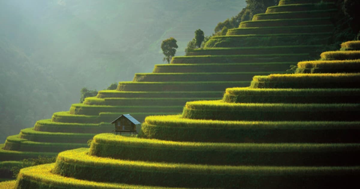Safety and security in wellness tourism