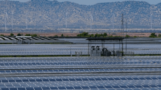 Vietnam utility EVN asks renewable developers to negotiate lower tariffs over construction acceptance delays