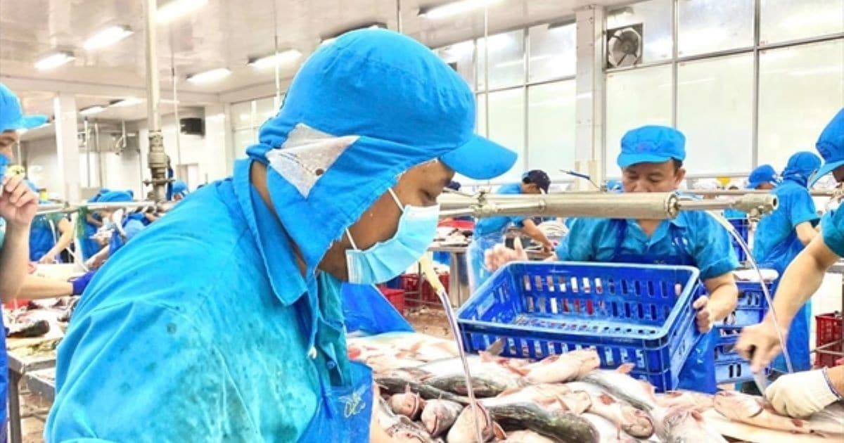 VASEP proposes tax relief to support Vietnamese seafood exporters