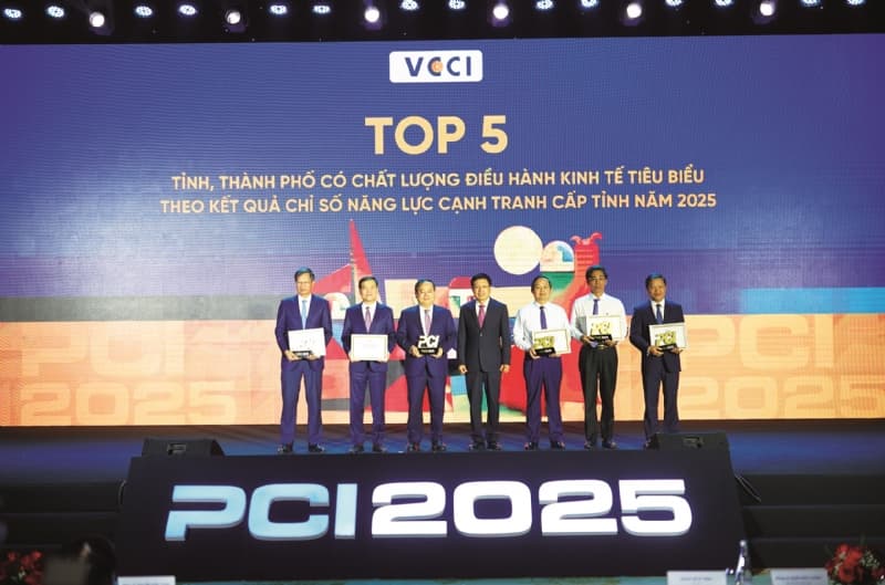 VCCI Strengthens Policy Consultation, Advances Business Environment Reform