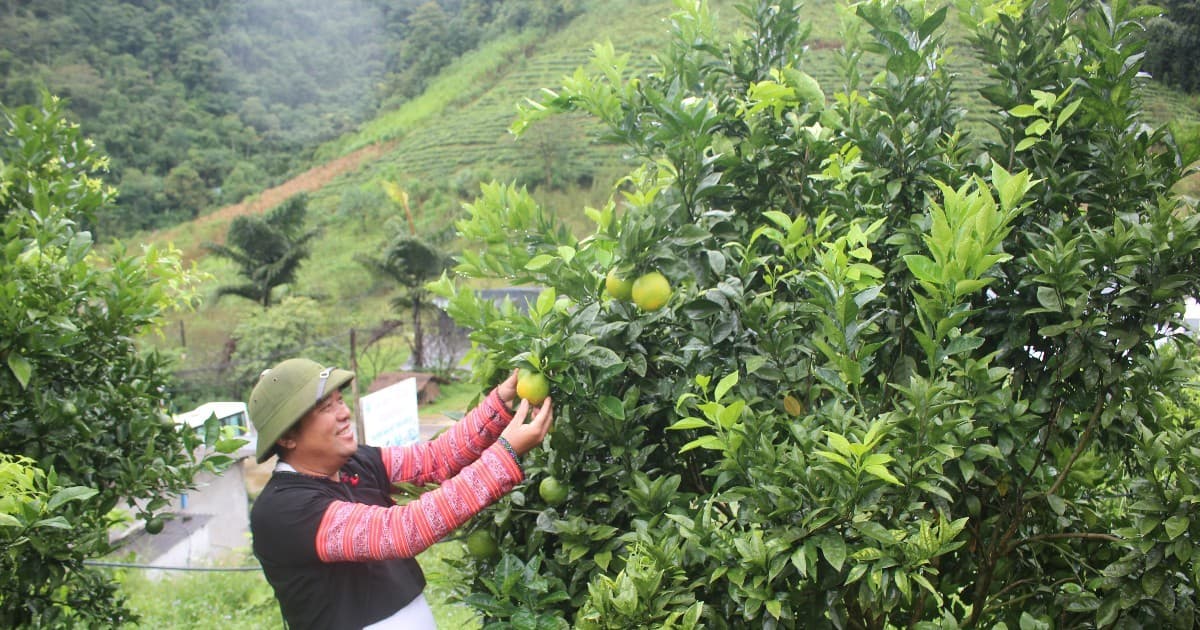 Fruit and vegetable exports top $7.35 billion in 9M