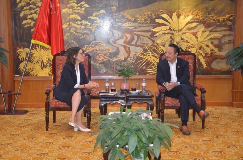VCCI, UNU Macau Discuss AI Training for SMEs