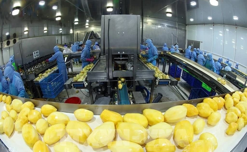 Vietnam’s agro-forestry-fishery exports rise 7.8% in nine months