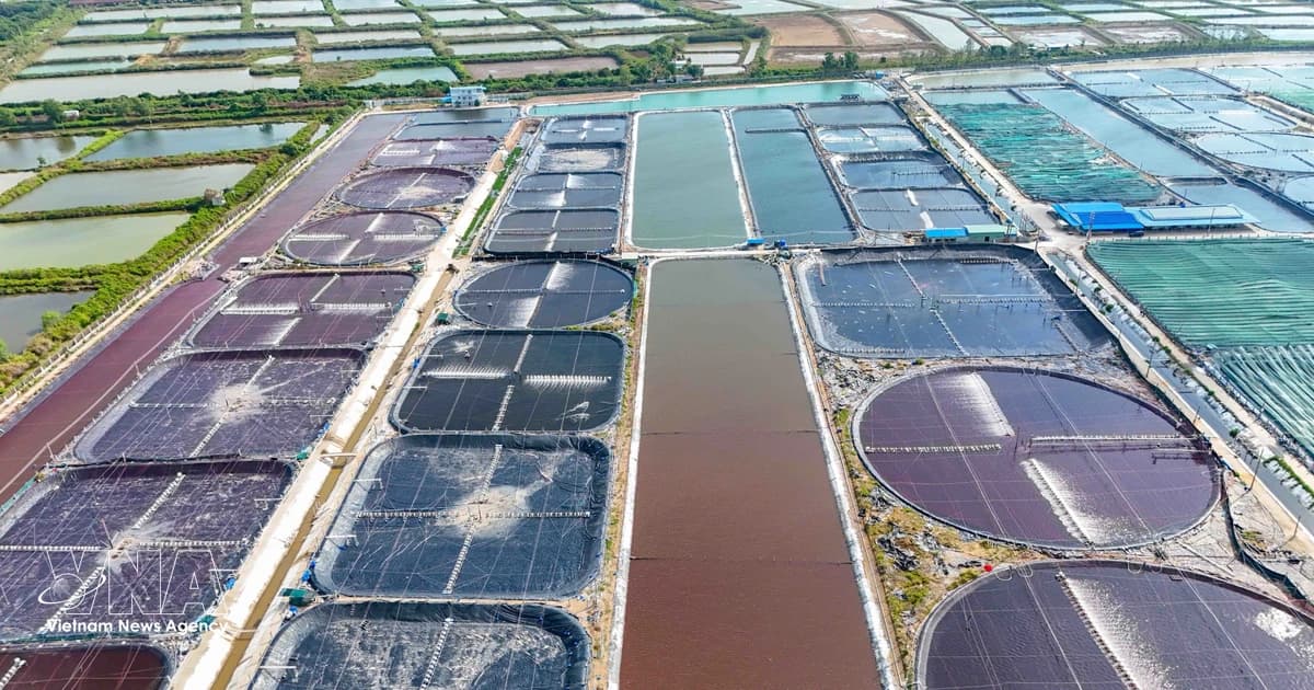 Agriculture, forestry, fishery sector continues to underpin economy
