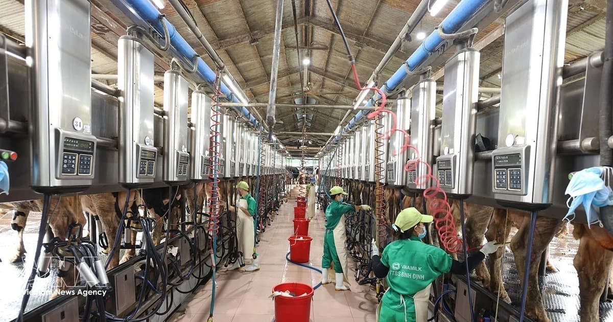 Vietnam announces Top 10 high-tech agriculture companies