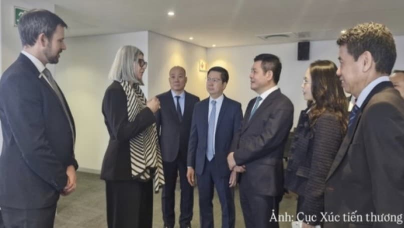 Viet Nam, South Africa expand room for economic cooperation