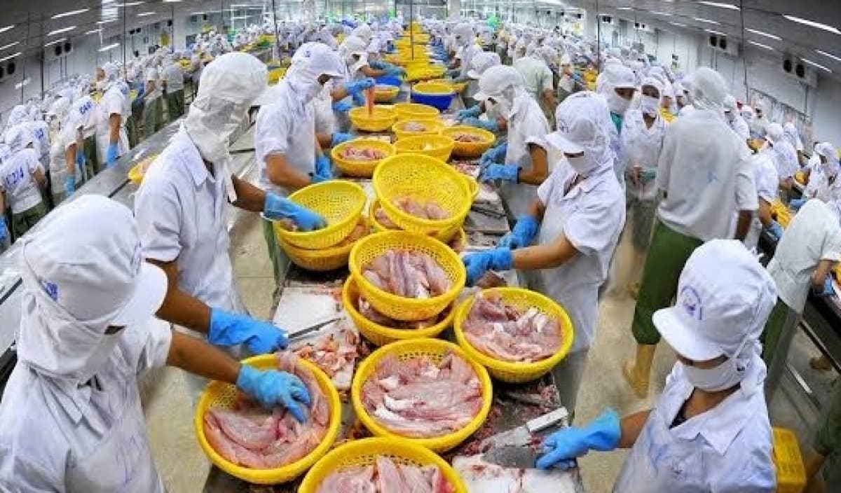 Vietnam earns $56.3 billion from agro-forestry-fishery exports