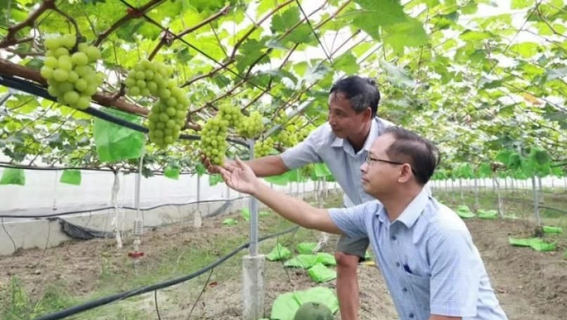 Cooperatives emerge as data hubs for large-scale farming