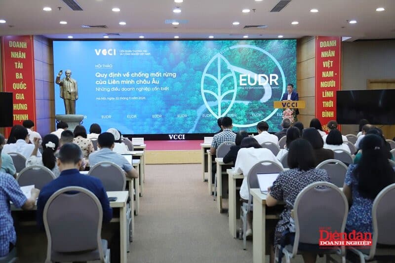 Building Foundational Capacity to Adapt to the EUDR