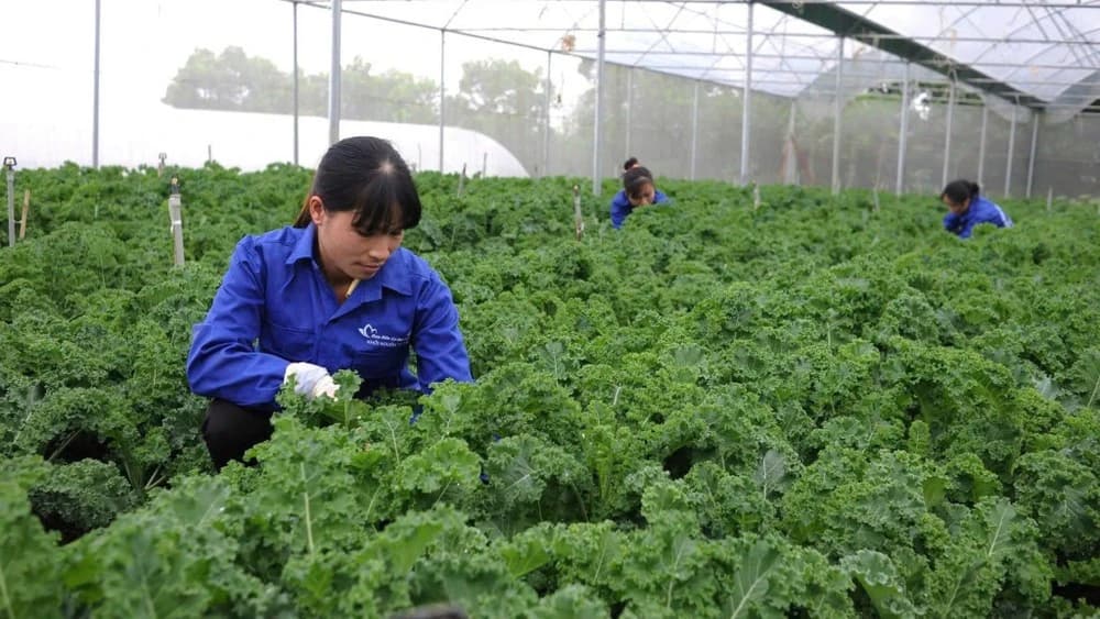 Clearing the way for organic agriculture