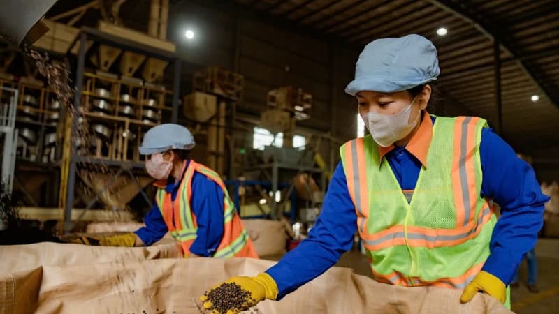 Vietnamese coffee brodens its export reach