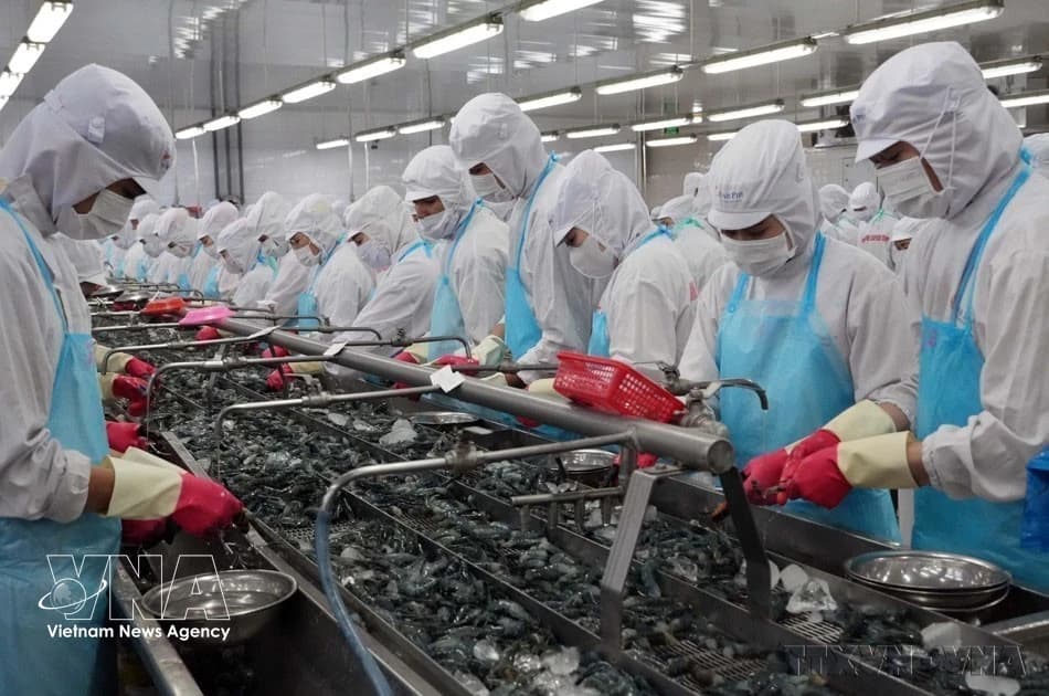 VEFTA opens up new export opportunities for Vietnamese goods