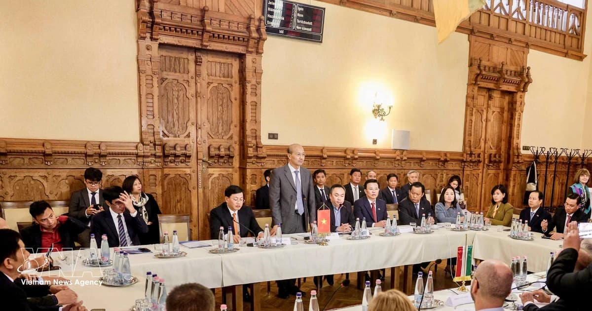 Vietnamese localities seek to deepen cooperation with Hungary