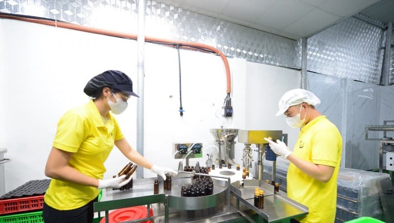 Seizing VEFTA opportunities: Vietnamese enterprises take the initiative