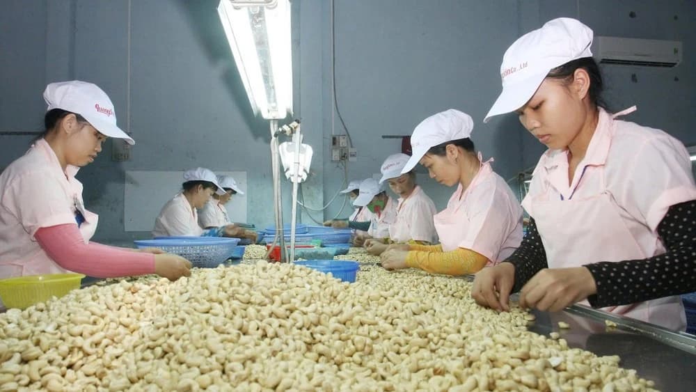 Viet Nam seeks stronger foothold in global Halal food market