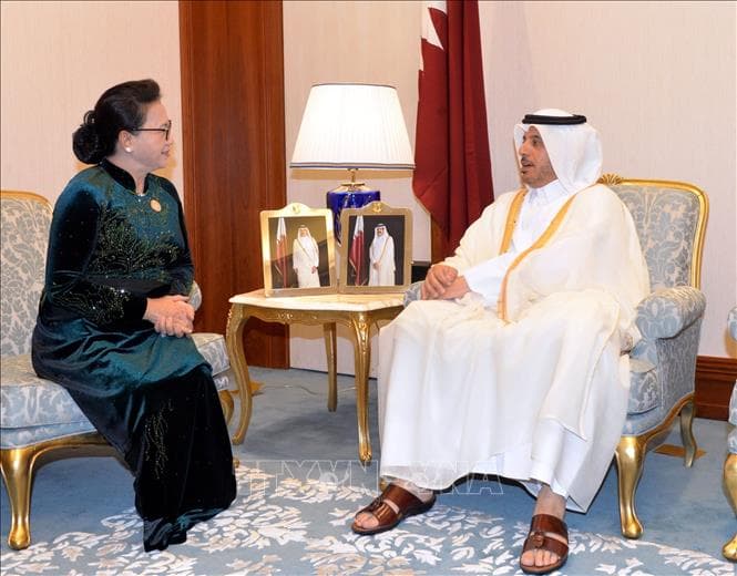 VN, Qatar beef up comprehensive ties