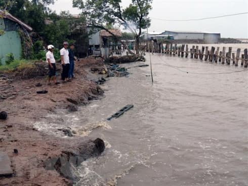 Conference looks to fight coastal erosion in Mekong Delta