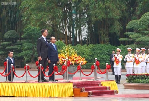 Photos: Vietnamese, Dutch PMs hold talks