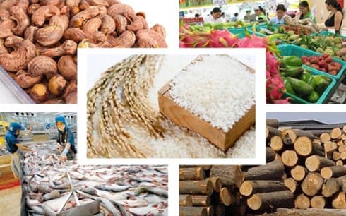 Trends, branding paramount for agricultural exports to Europe