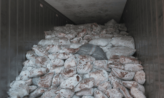 Singapore makes second huge seizure of pangolin scales bound for Vietnam