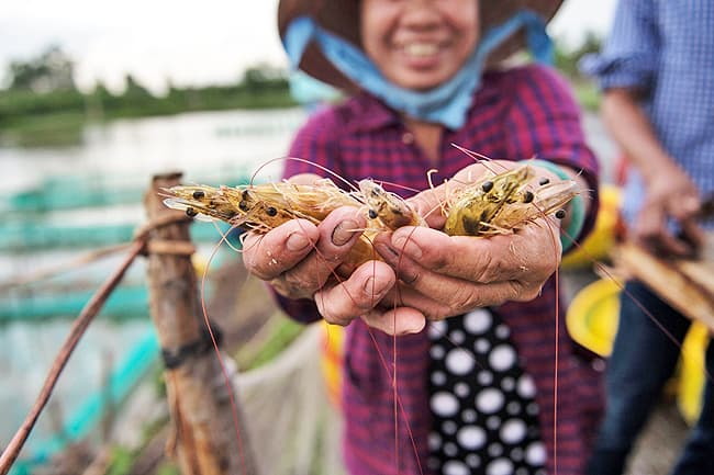 US scraps anti-dumping duty on Vietnamese shrimp