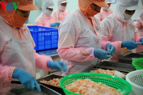 Vietnam targets US$10 billion from seafood exports in 2019