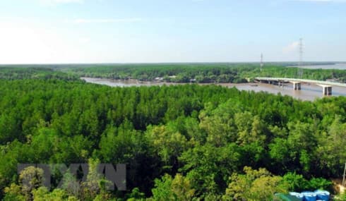 WWF backs forest biodiversity conservation in Thua Thien-Hue