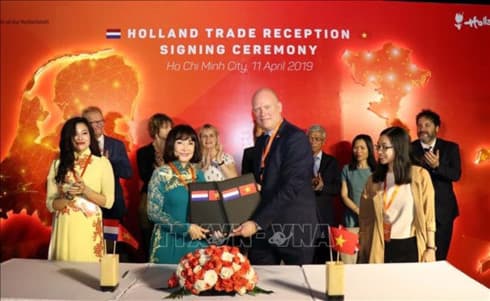 Netherlands boosts cooperation with HCM City