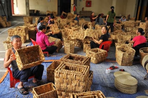 Legal framework for business households needed