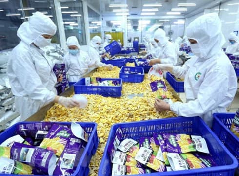 Vietnam boasts many advantageous exports to Romania: Ministry