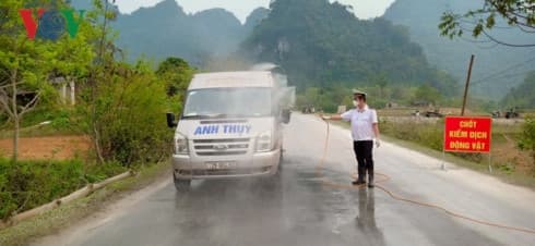 African swine fever detected in Cao Bang
