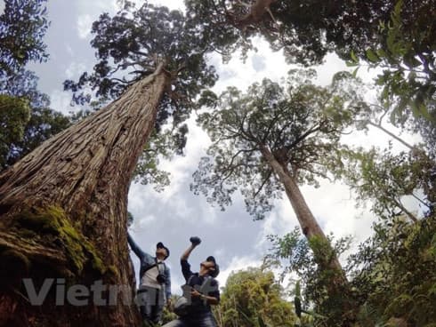 Greenhouse gas emission reduction in north-central region talked