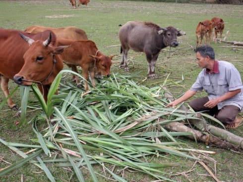 Nearly 28 billion VND to ease poverty in Long An province