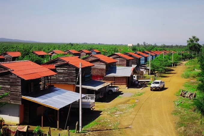 Auto firm Thaco to buy land from agriculture giant