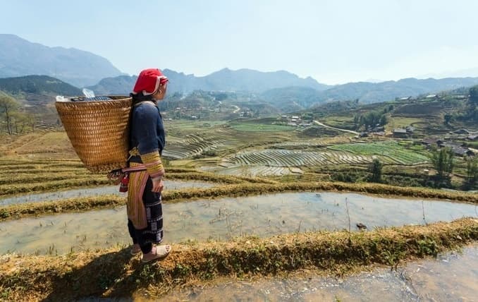 Parched Sa Pa tells farmers to suspend paddy cultivation