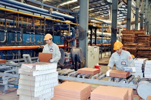 Private economic sector to enjoy better conditions in 2019