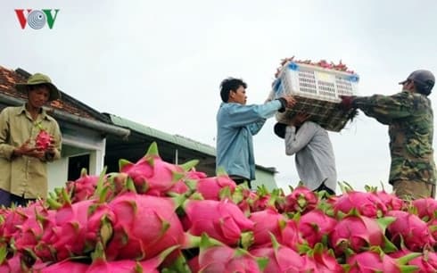 Businesses urged to follow consumer trends for RoK market penetration