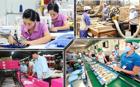 Local firms struggle to reap benefits from CPTPP