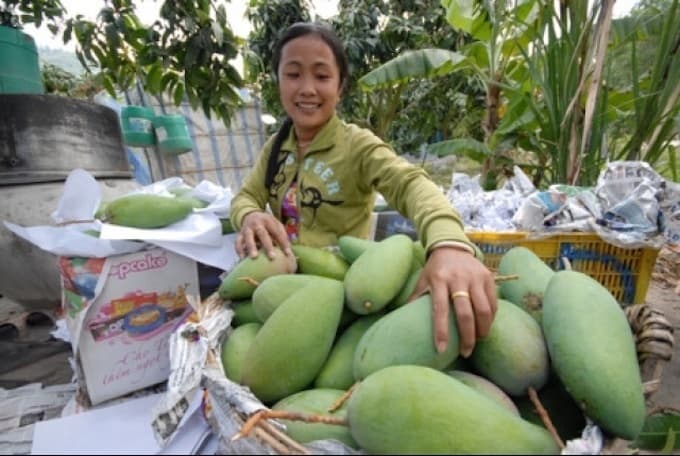 China remains crucial as Vietnam expands fruit exports